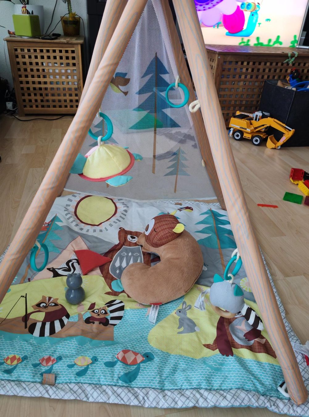 Tappeto da gioco: Baby Skip Hop Spielbogen, Spielmatte. – Usato da sachseln venduto da soficool 1