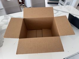 Faltkarton 1-wellig 100 Stücke Verpackung Art. 410.0387.02