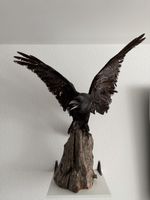 Präparierter Krähe auf Holzsockel, Ausstellungsstück,