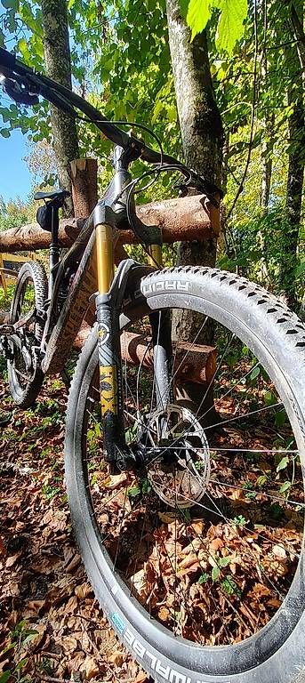 Velos: Specialized Stumpjumper TLD  – Gebraucht aus Palézieux-Village von imarocker01