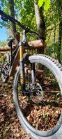 Specialized Stumpjumper TLD 