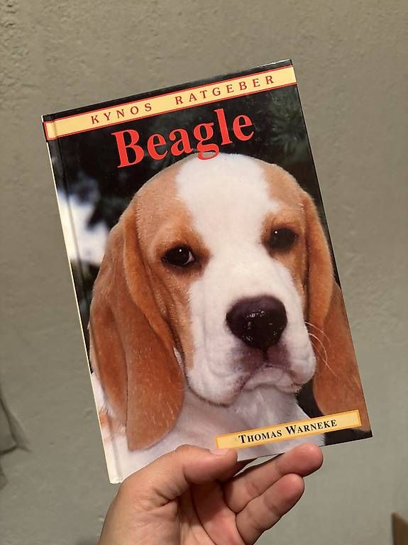 Libri: Diverse Beagle Ratgeber – Usato da Untervaz venduto da Calimera1997 4