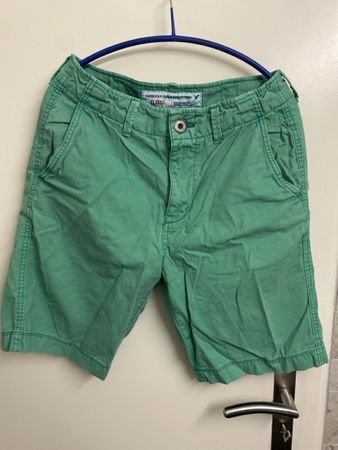 American Eagle Outfitters green Shorts. Size 29 Summer, New