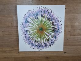 Bild Blüte / Blume Druck auf Leinwand, 4-teilig