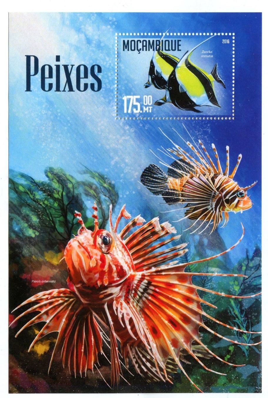Alle Briefmarken: Block "Fische". Mosambik. – Neu und originalverpackt aus Basel von Butsch5