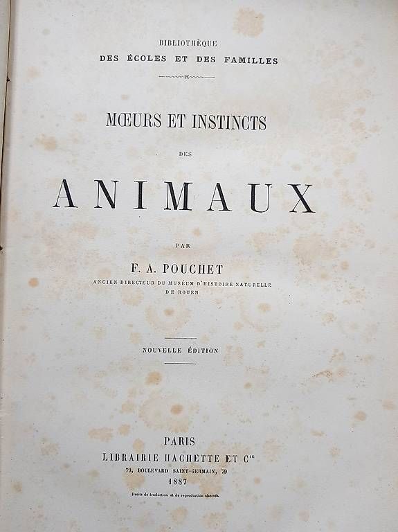 Libri: "Moeurs et instincts des animaux" 1887 – Usato da Ste-Croix venduto da gfamily 1