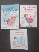 Lot de 3 livres/BD sur la grossesse et bébé