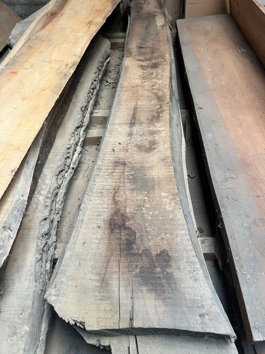 Articoli in legno: Bretter Nussbaum – Usato da Ostermundigen venduto da mapa9
