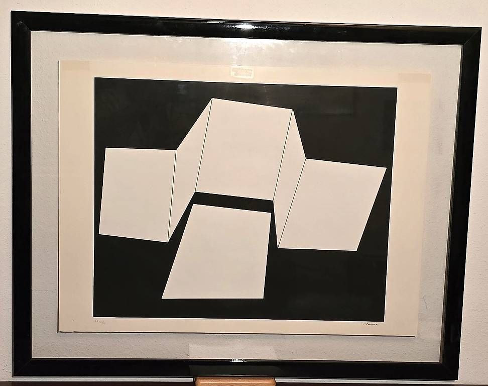 Grafica & Litografie: Lithos encadrées de Geneviève Claisse – Usato da Confignon venduto da morisbtz 3
