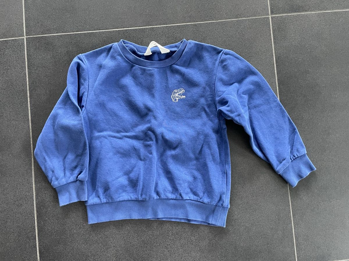 H&M Pullover & Sweatshirts: Dino Pullover / Sweatshirt Gr. 110/116 H&M – Gebraucht aus Aesch ZH von lawas