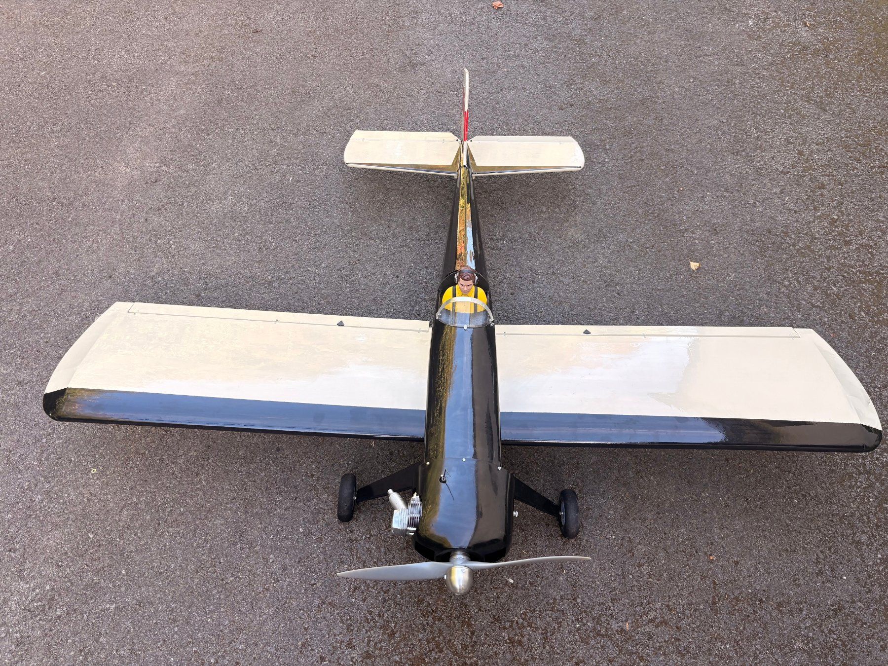 Modellismo RC: Dragon Lady 1,7 m – Usato da Pully venduto da pie_kcc7 1