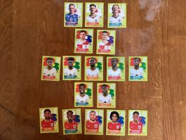 Panini FWC 2026