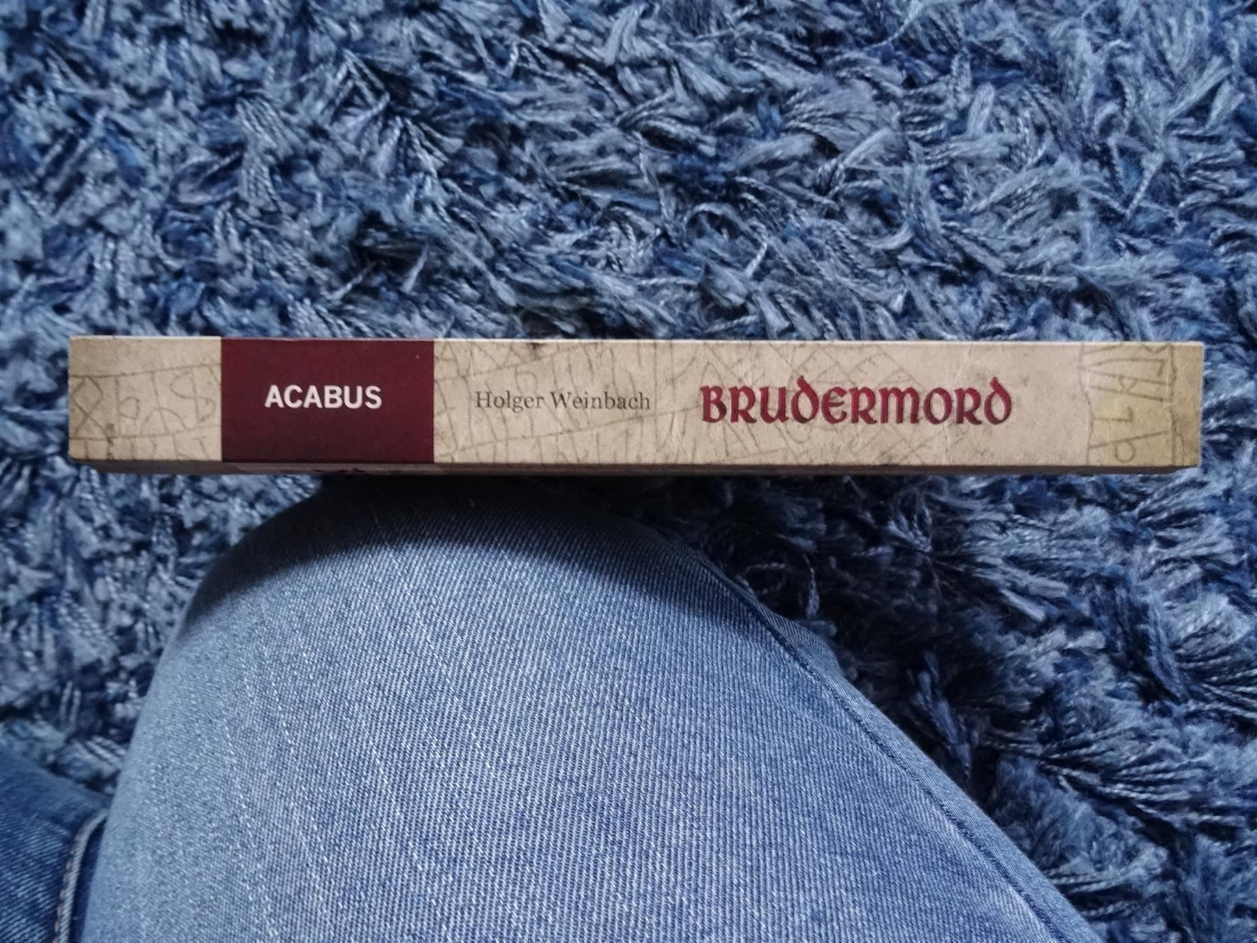 Libri: Die Eiswolf-Saga Brudermord Teil 1 – Usato da Lupfig venduto da Buerkli20 2