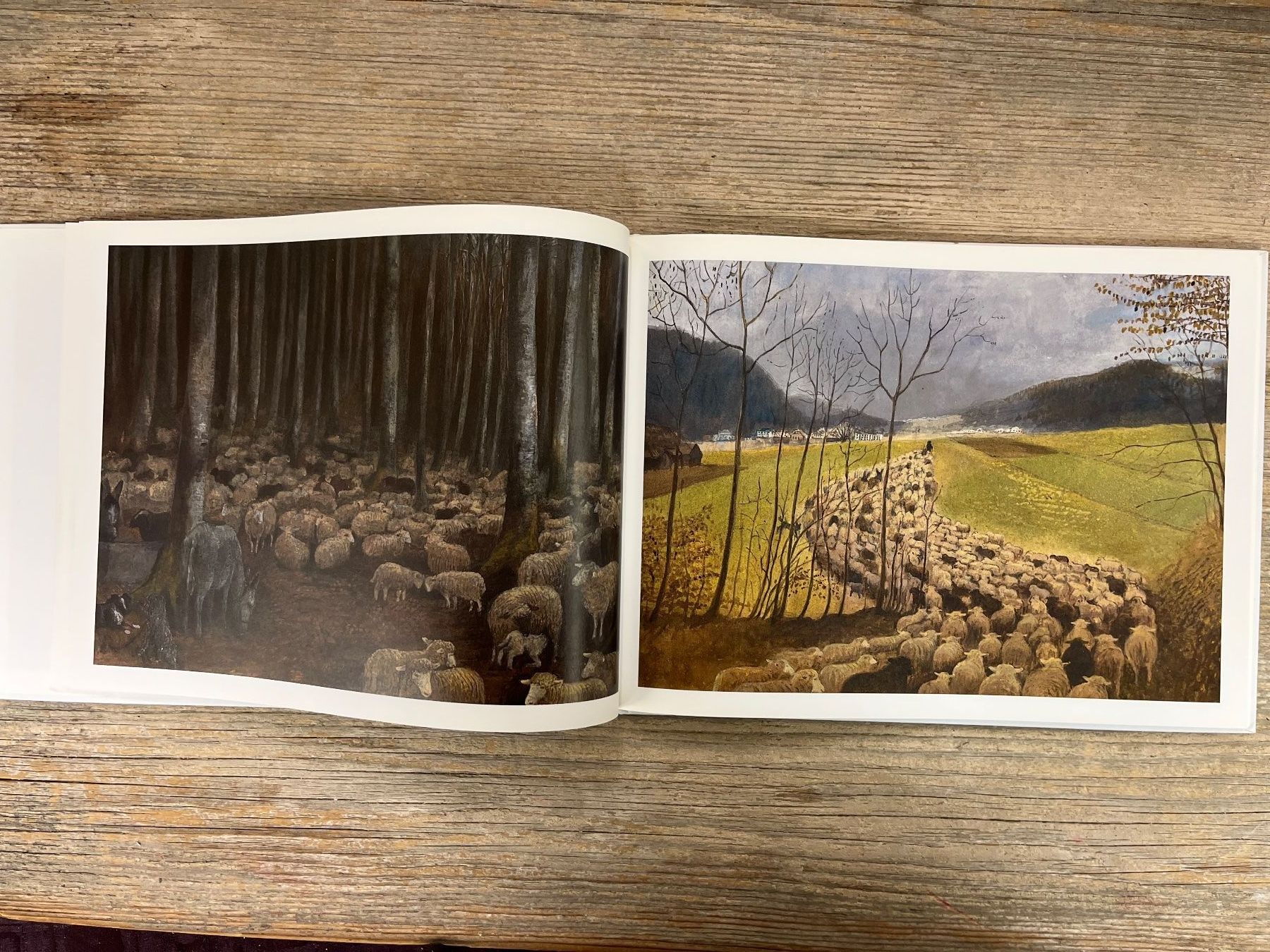 Libri: Bergmann Peter  Winterweide mit einem Schafhirten unterwegs – Usato da Pfäffikon ZH venduto da buresi 7