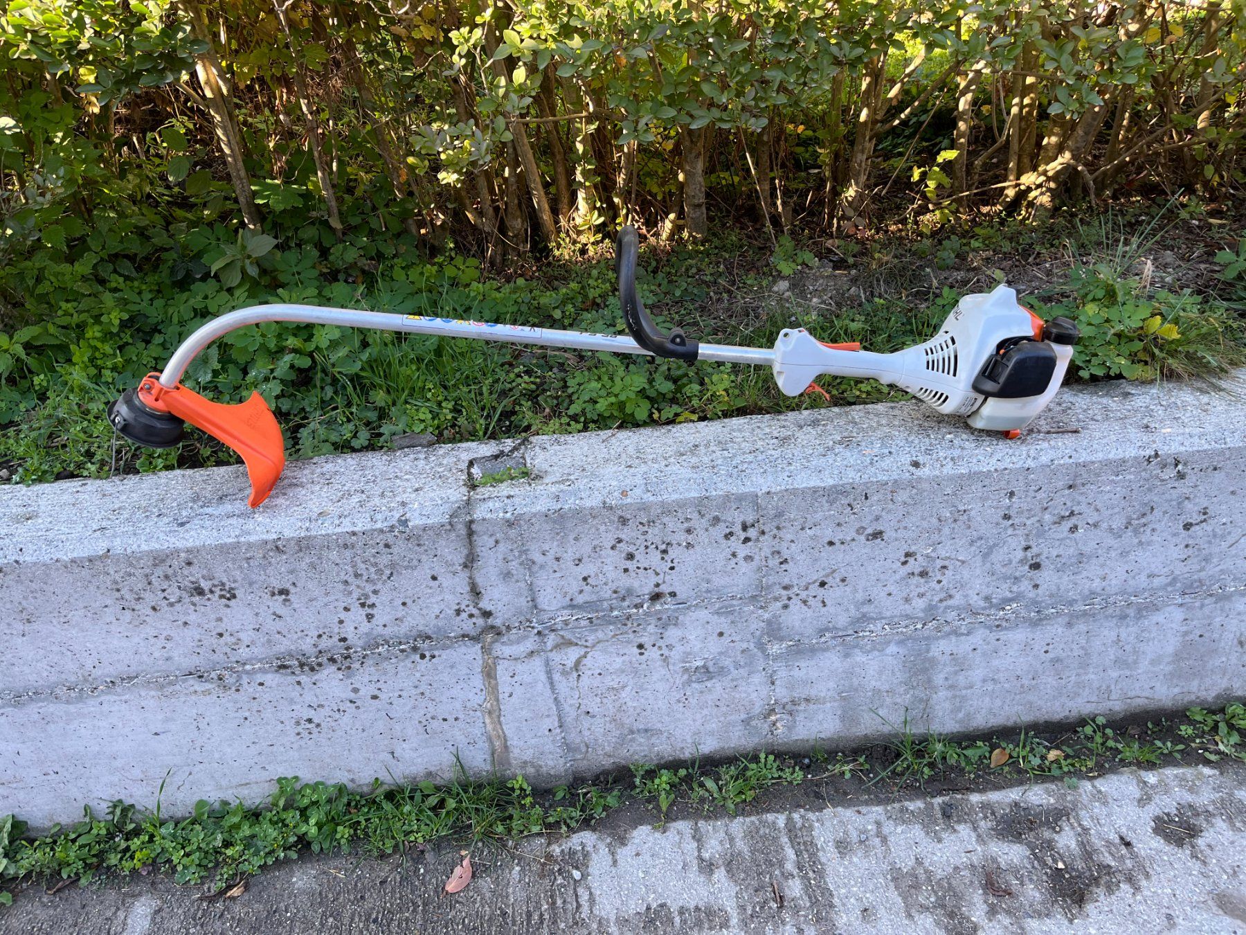 Stihl Tondeuses à gazon: Stihl FS 38 – D'occasion à Maseltrangen par regaboga 1