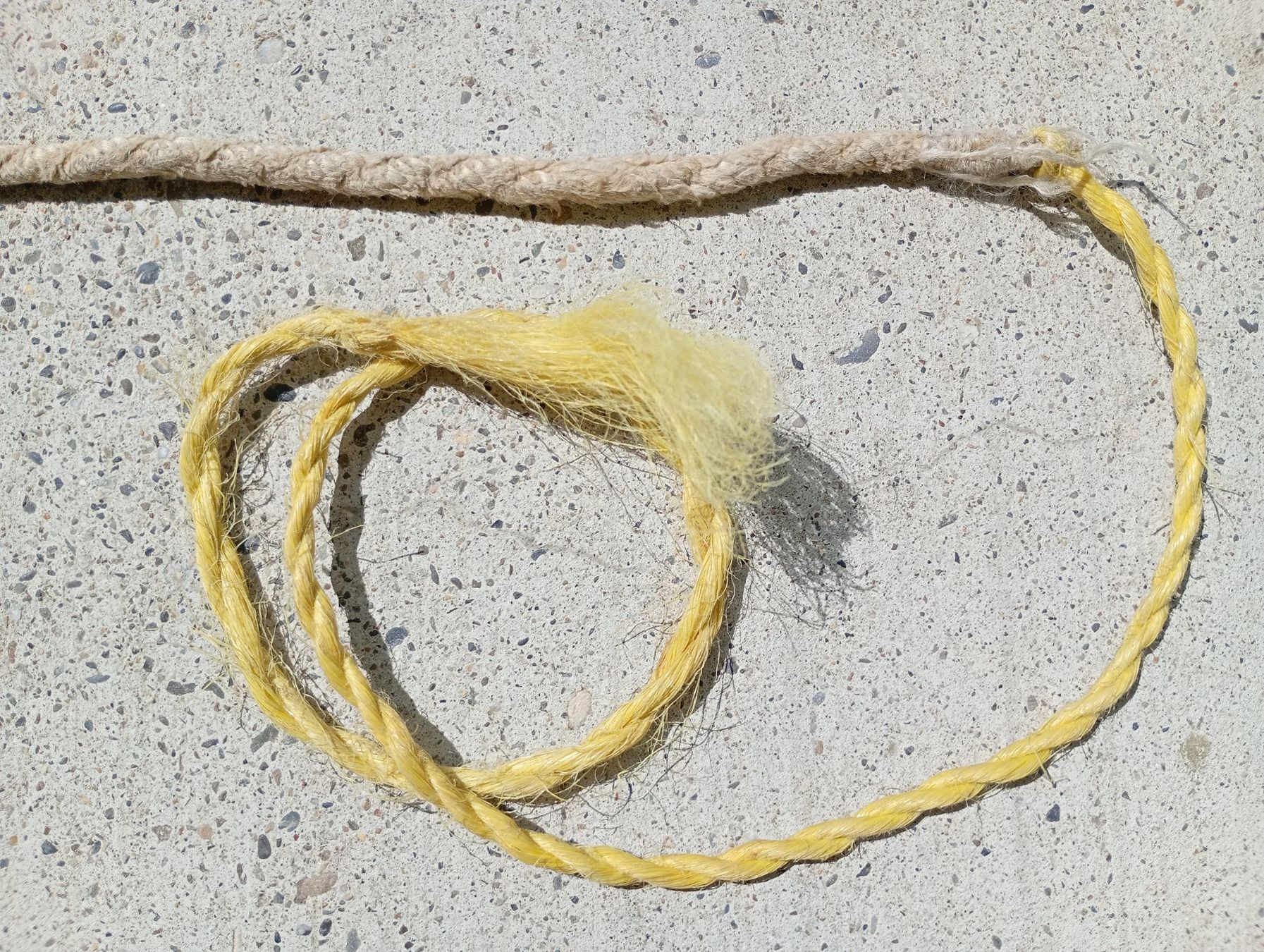 Autres accessoires pour animaux: Klausgeissel gross und klein – D'occasion à Möriken AG par Vellas 8