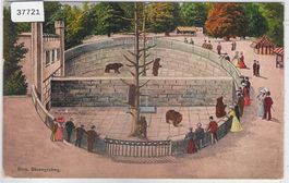 Bern - Bärengraben - animee - Litho