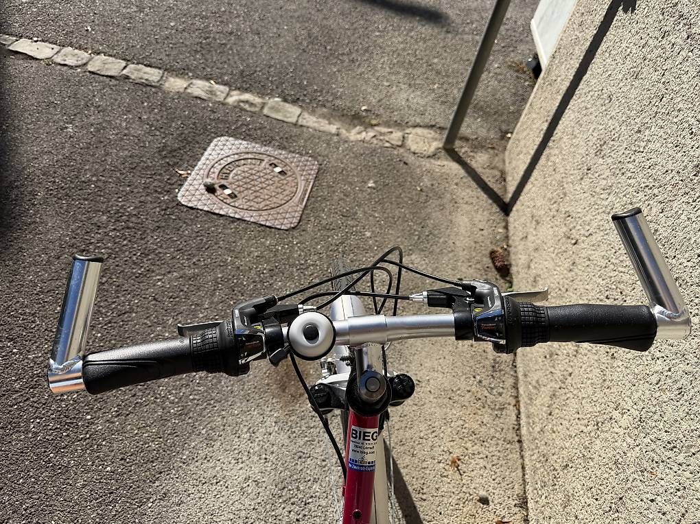Biciclette: Kinder Velo Pegasus – Usato da Riehen venduto da pau_vl6b 1