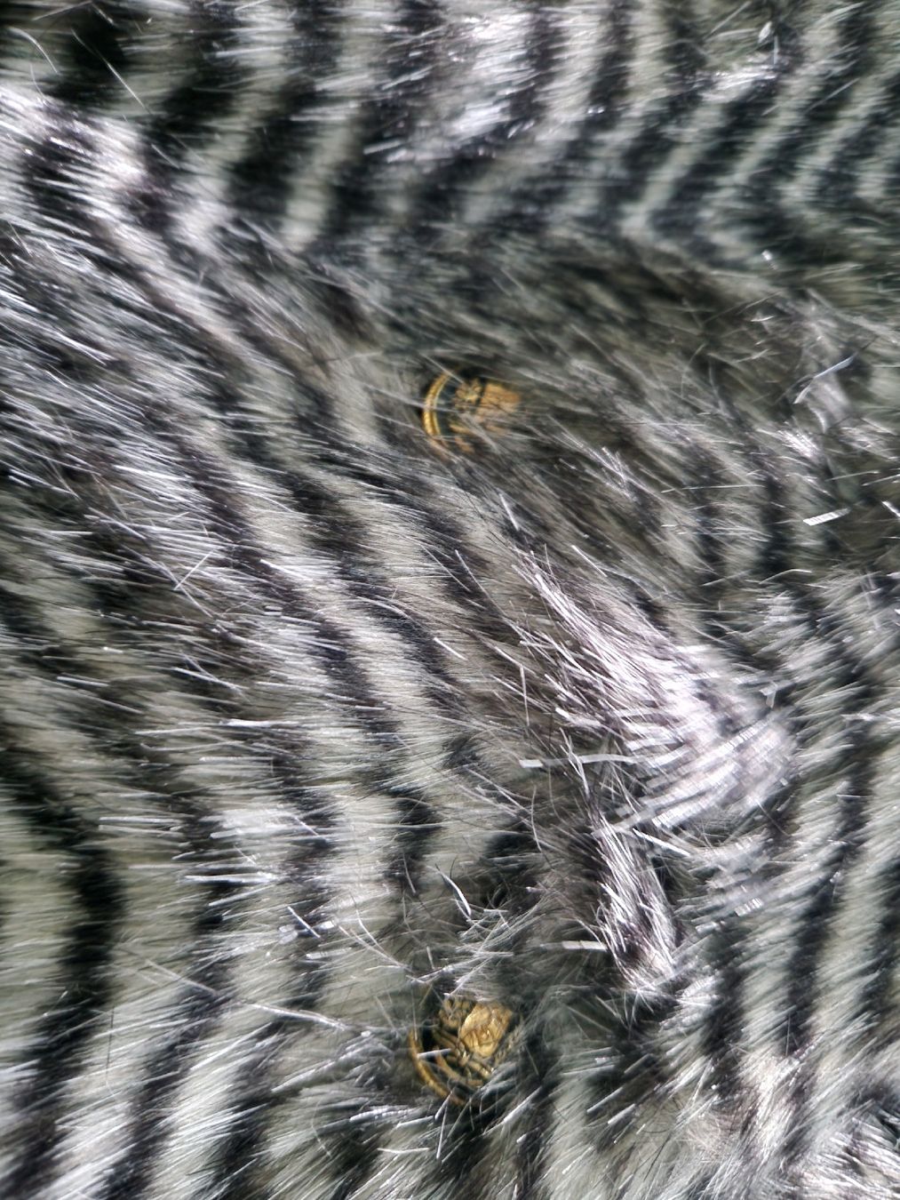 Jacken: Mango Kunstfell Jacke – Gebraucht aus Hindelbank von MRoeth1 1