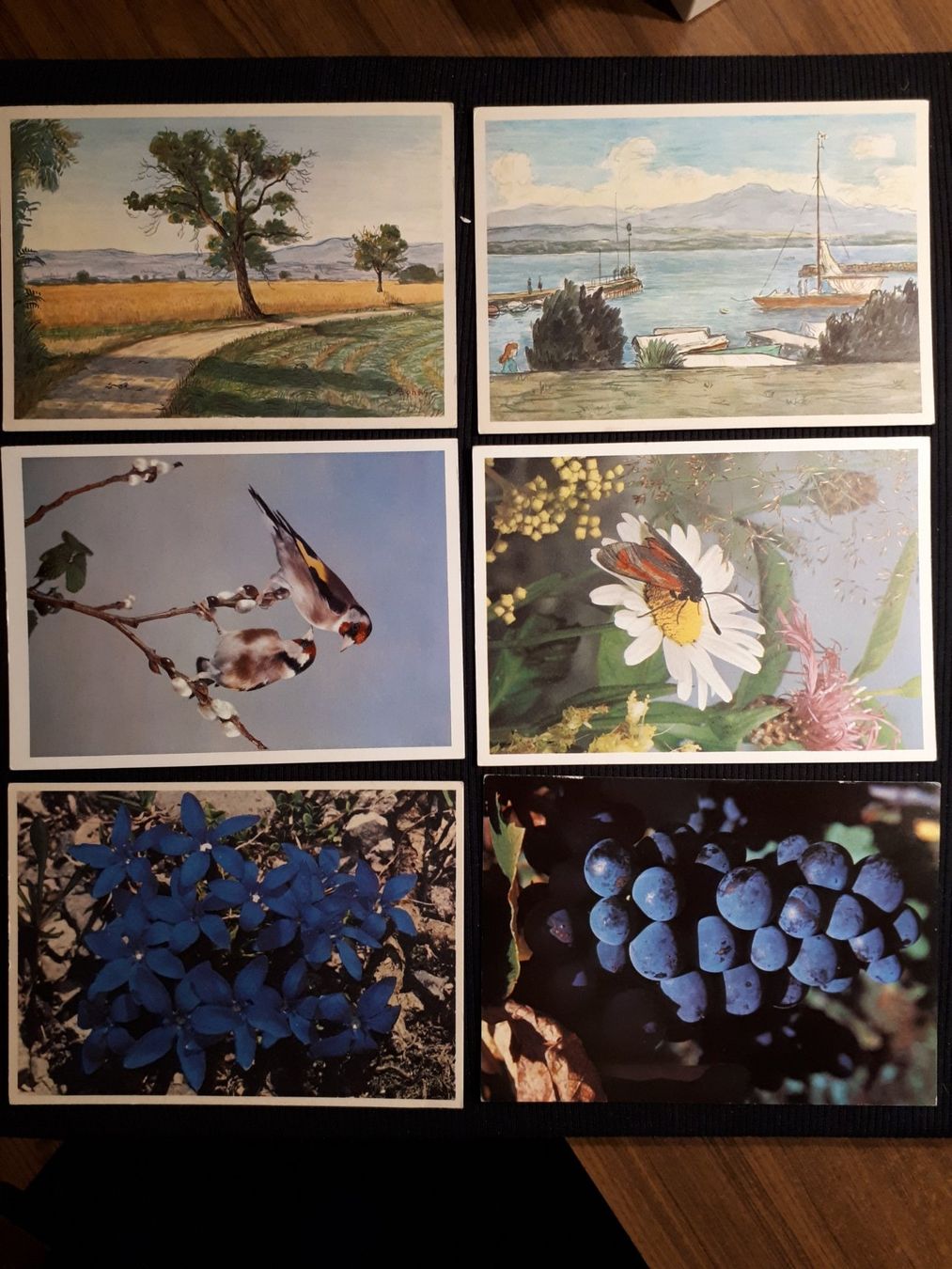 Cartes postales: 6 AK PRO INFIRMIS – D'occasion à Ponto Valentino par giorgia06