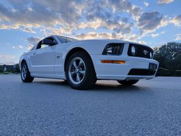 Ford mustang gt v8