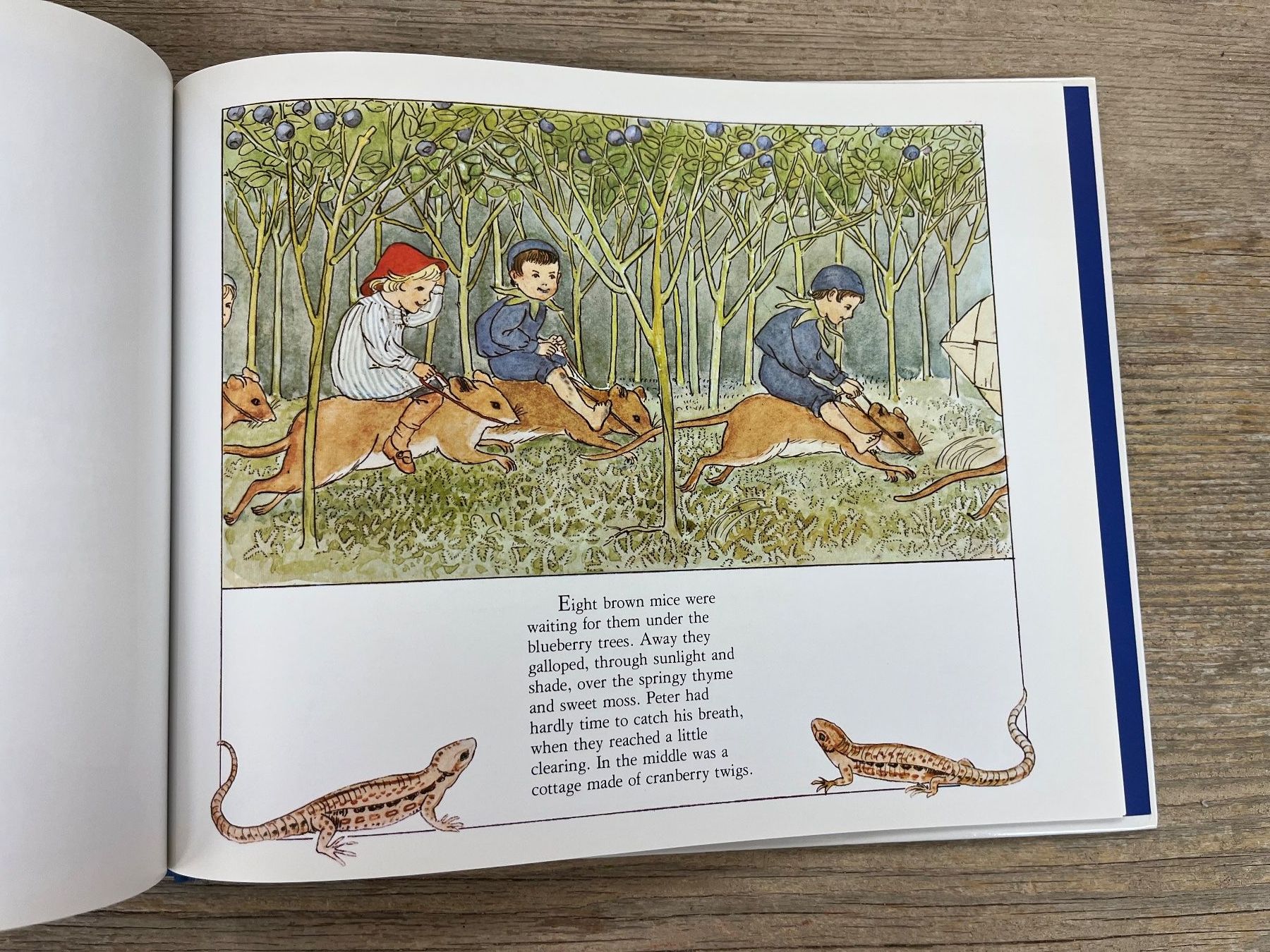 Libri: Elsa Beskov: Peter in Blueberry Land – Usato da Pfäffikon ZH venduto da buresi 4