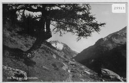 Am Weg zur Fornohütte