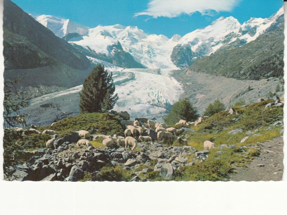Cartoline postali: Morteratschgletscher 1959 – Usato da Bürglen TG venduto da StampGraf