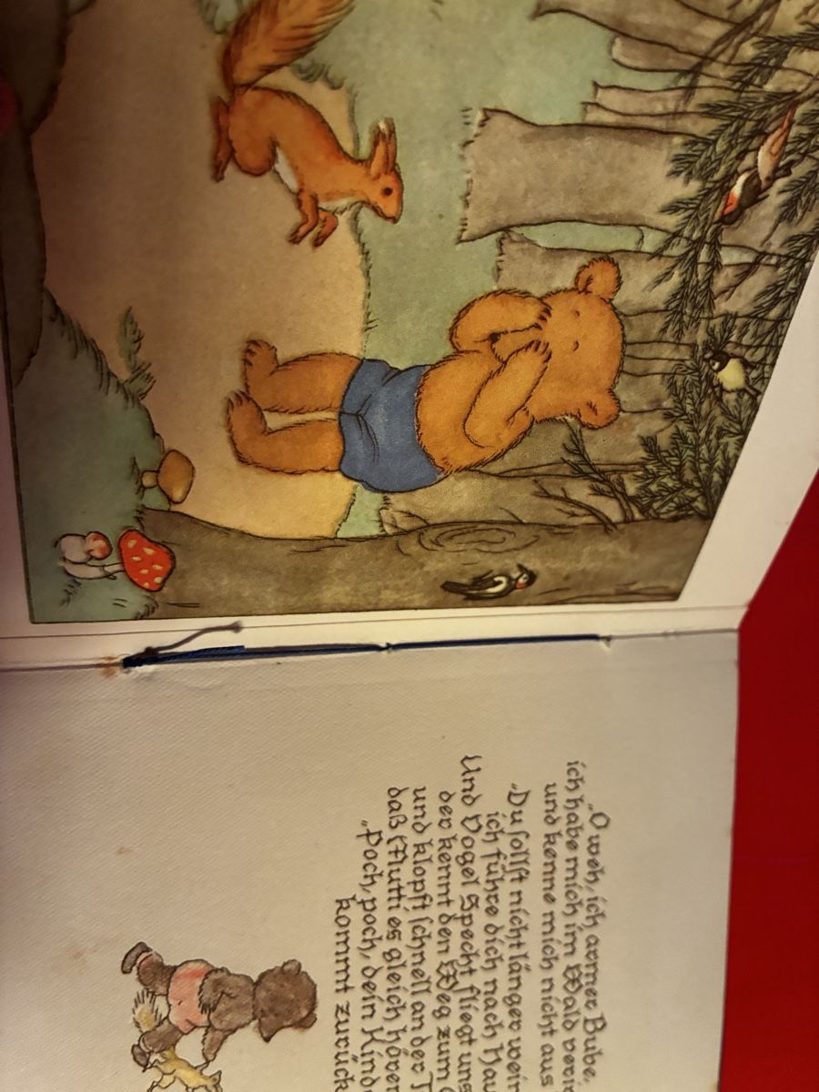 Libri: Kinderbuch antik – Usato da Lengnau BE venduto da Warmbrodt 2