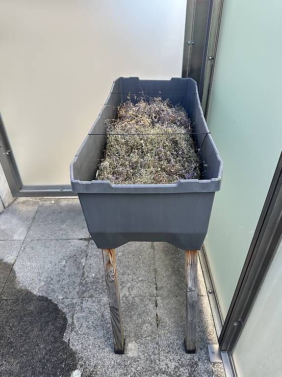 Vasi per fiori: Hochbeet zu verschenken, Gusta Garden, Sammy Salad – Usato da Zug venduto da dhe_8lxn 2