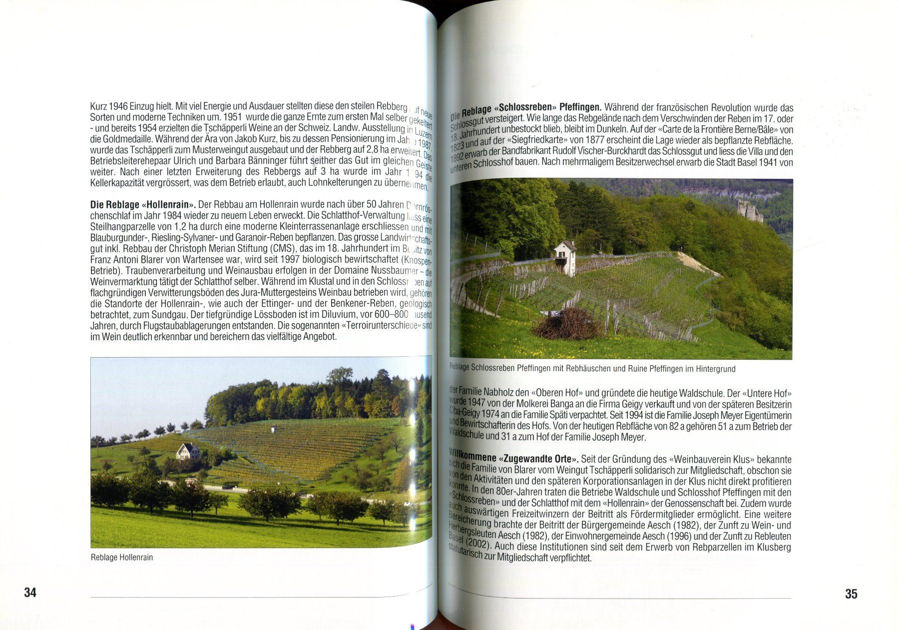 Libri: Aesch, Pfeffingen, Reben und Wein – Usato da Aarau venduto da Elmaar41 3