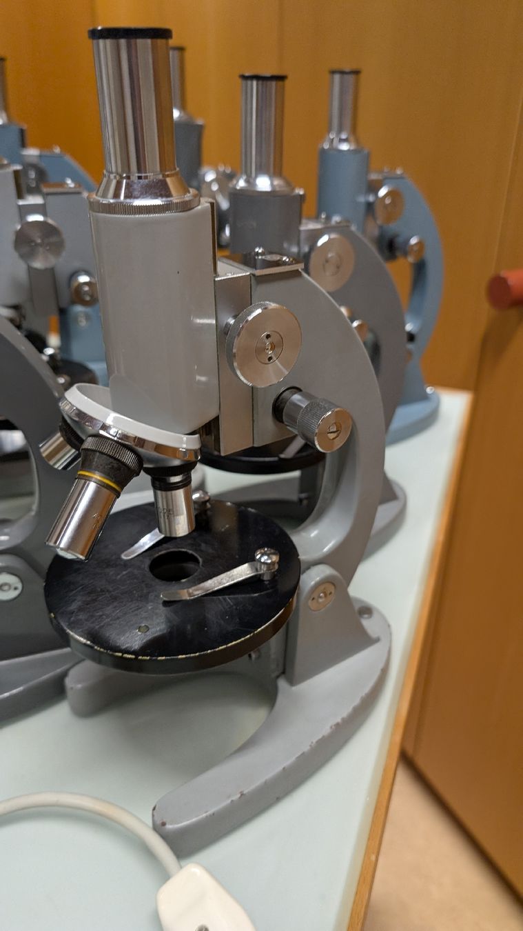 Microscopi: Mikroskope Set von 10 Stk. für Schule oder Hobby – Usato da Kirchberg SG venduto da Speedcuber77 3