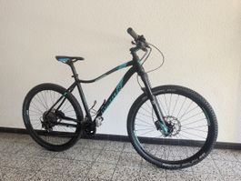 Wheeler Damen Top Bike
