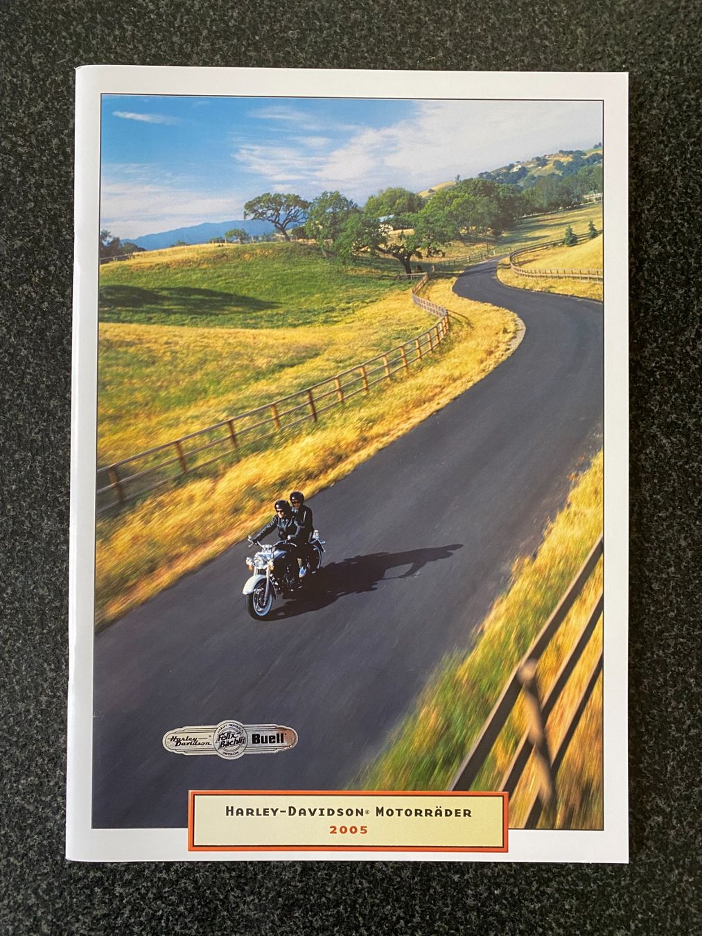 Documenti: Harley-Davidson Katalog, Prospekt, Broschüre 2005 – Usato da Niederhasli venduto da Berno 7