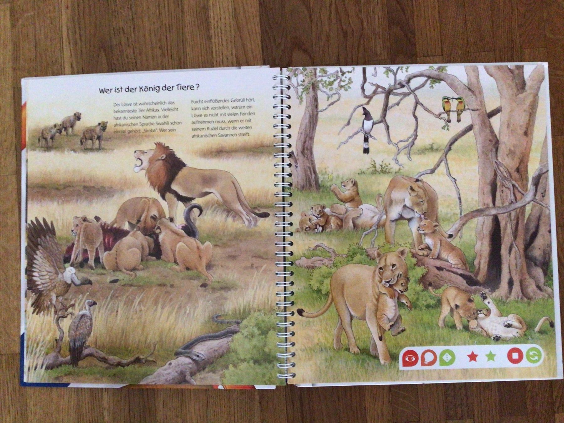 Libri: tiptoi Entdecke die Tiere Afrikas – Usato da Roggwil BE venduto da Worni52 1