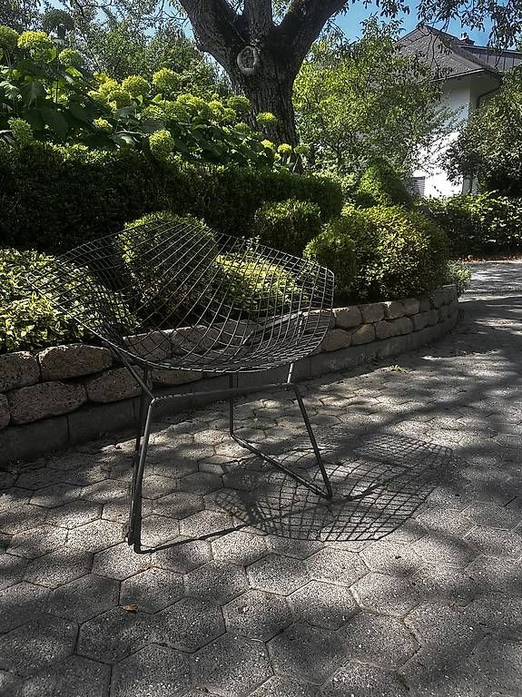Knoll Poltrone: Knoll Bertoia Diamond Chair – Usato da Baden venduto da Nulingua 2