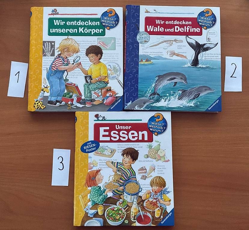 Libri: Kinderbücher Wieso? Weshalb? Warum? – Usato da St. Gallen venduto da petergyoergy