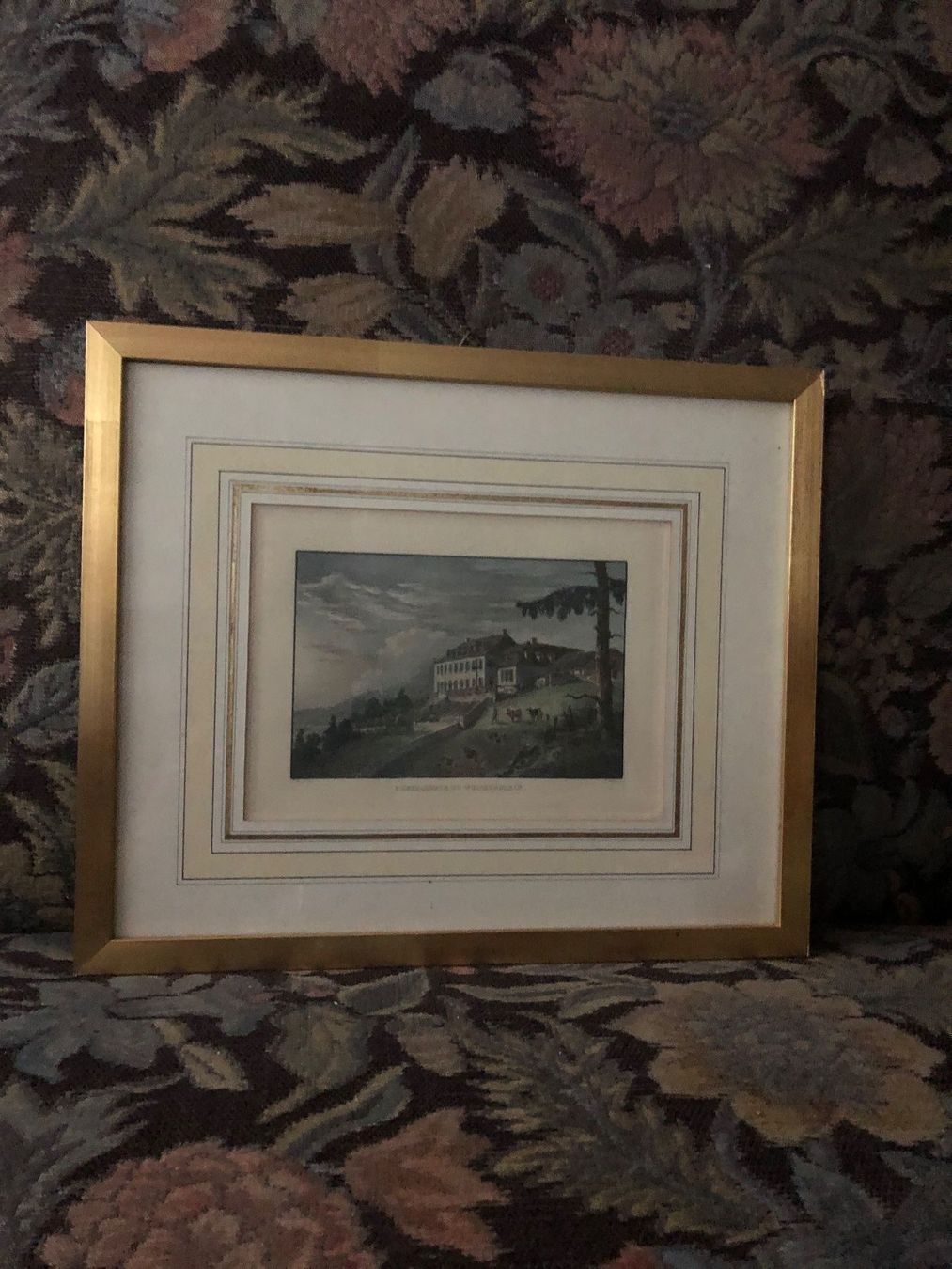 Foto & Immagini: L’HOTELLERIE DU WEISSENSTEIN – Usato da Wald ZH venduto da mlnt 2