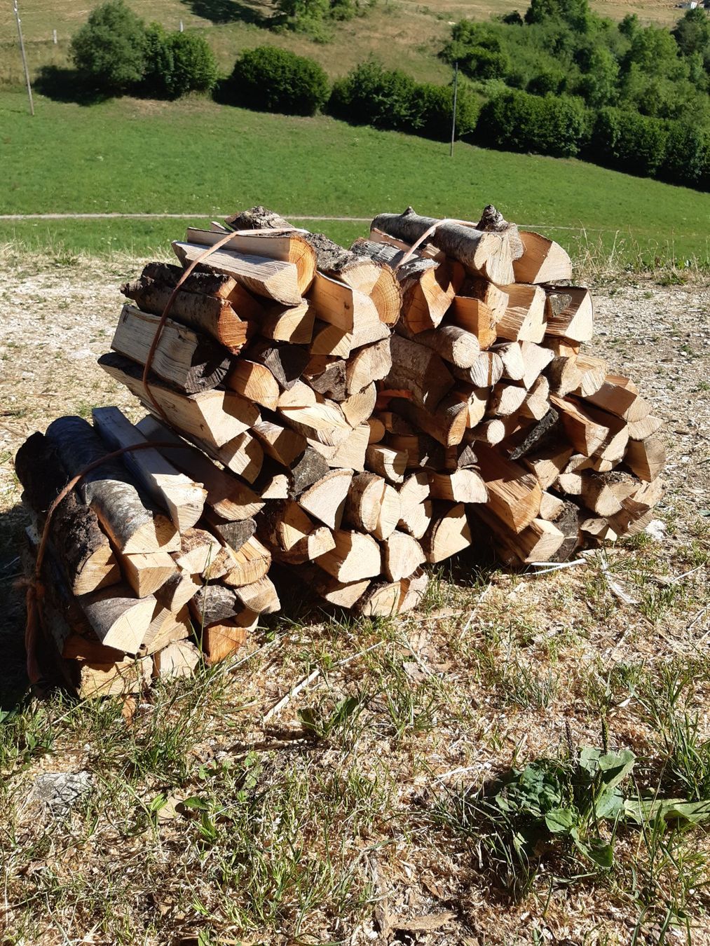 Holzartikel: holzballen klein – Gebraucht aus Seehof von Bozena13