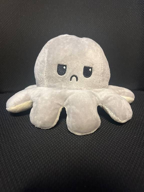 Libri: Oktopus mit 2 Seiten Glücklich/Traurig – Usato da Siggenthal Station venduto da lol_58gl 1