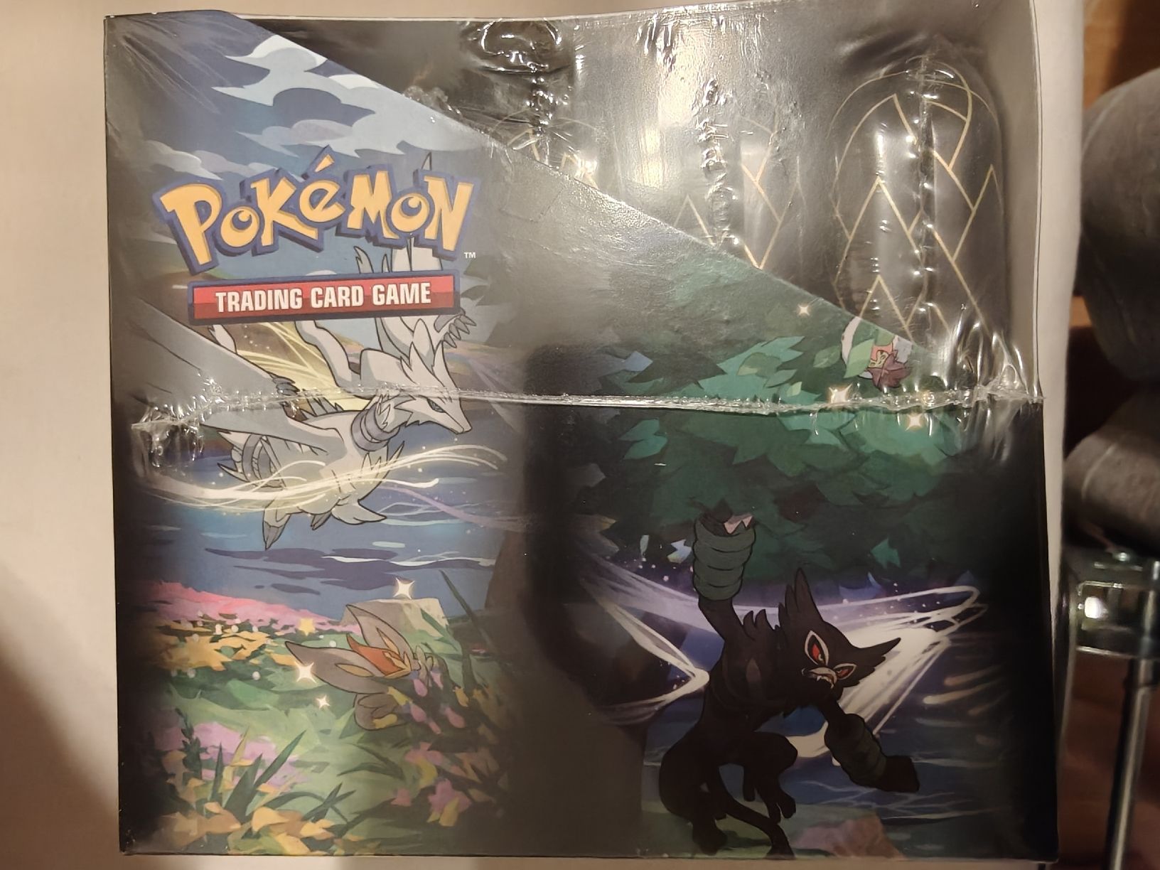 Pokémon Sammelbilder & Trading cards: Pokemon Shining Fates Mini Tin Display ab CHF 1.- – Neu und originalverpackt aus Schaffhausen von Dionyson 6