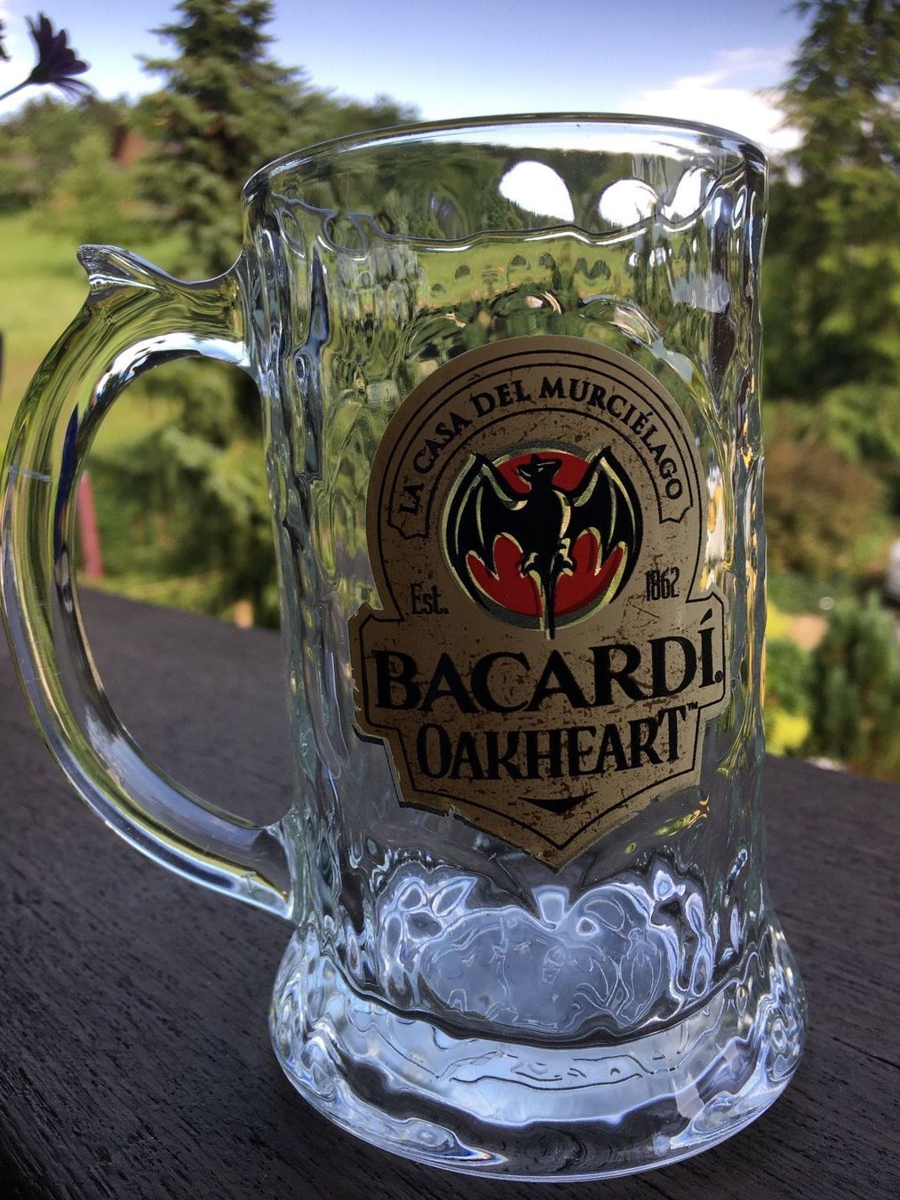 Bicchieri: 1 Bacardi Glas – Usato da Bauma venduto da Budgerigar