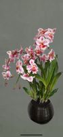 🌸 Künstliche Orchidee im Topf - Top Qualität , Deko🌸