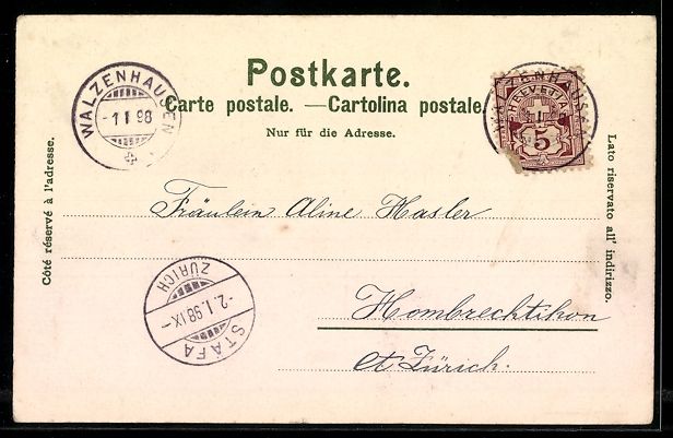 Cartoline postali: Litho Walzenhausen, Teilansicht mit Rhei – Usato da Berlin venduto da bartko-reher 1