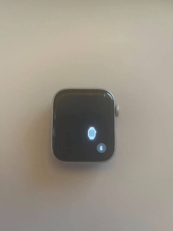 Apple Smartwatch: Apple Watch Series 5, 44 mm – Usato da Basel venduto da top_w2hg