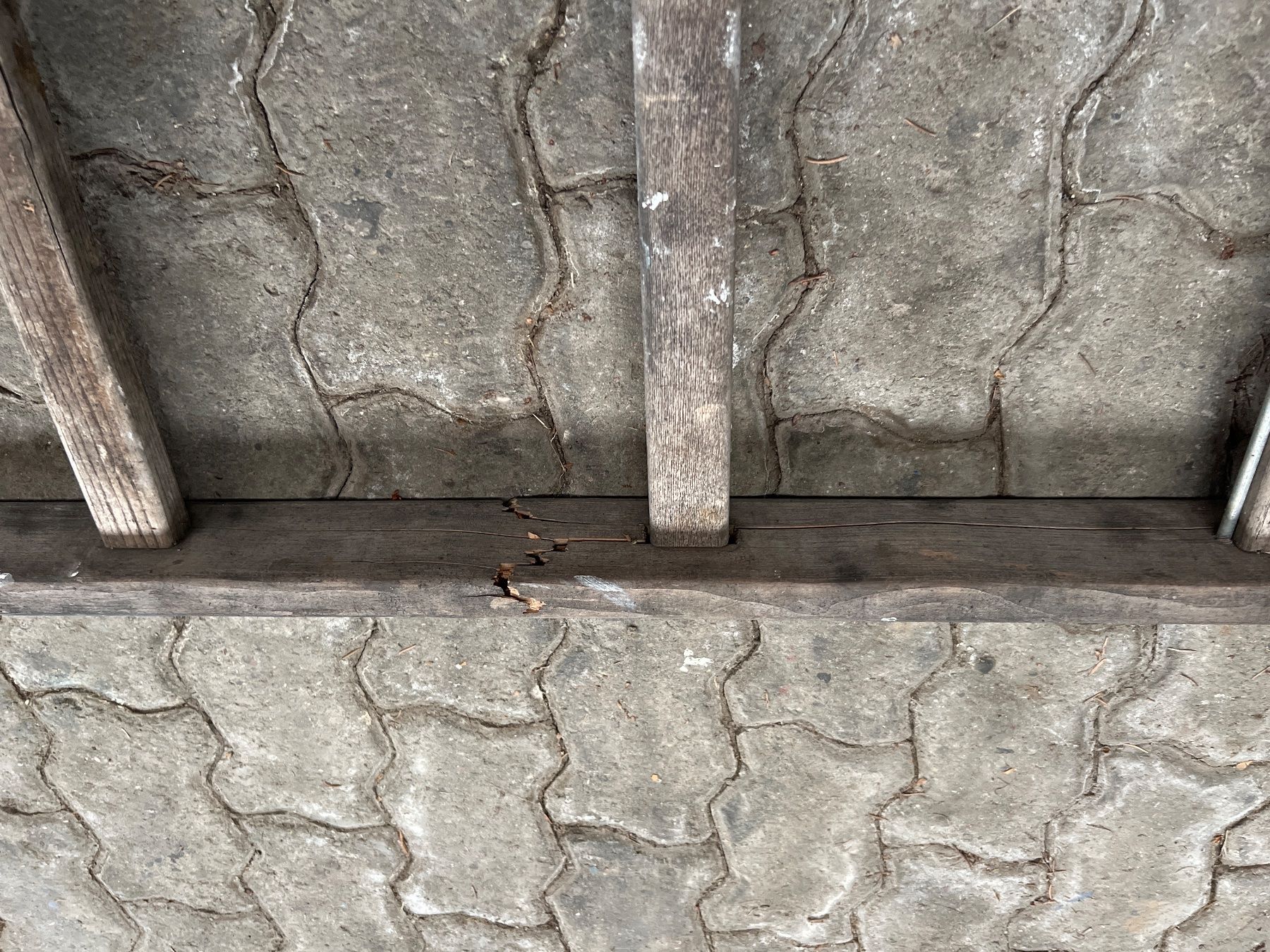 Leitern: Leiter – Gebraucht aus Thal von  2