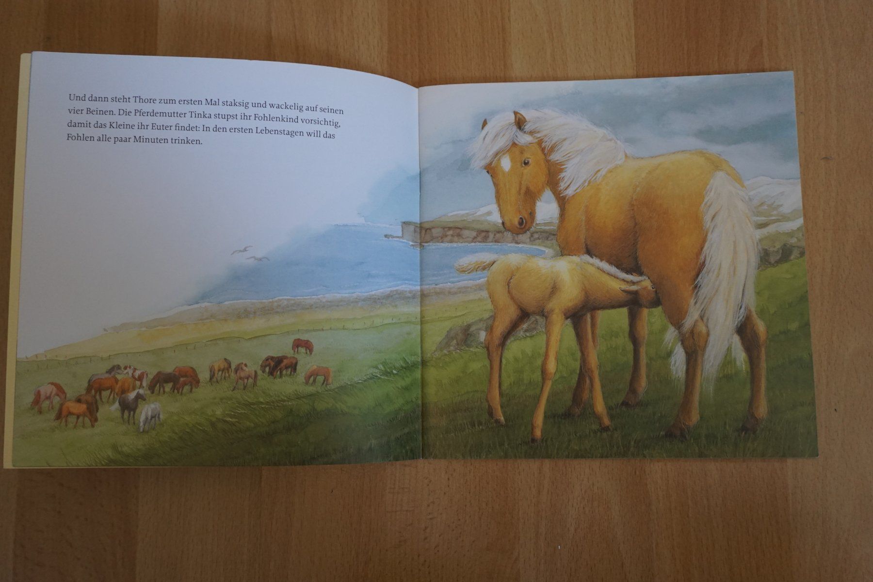 Libri: Lese Maus/ Thore, das kleine Islandpferd – Usato da Zürich venduto da einalemjena 1