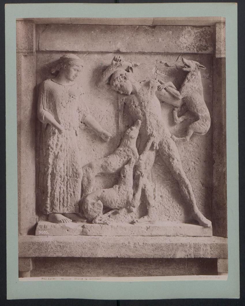 Fotografie & Manifesti: Fotografie Palermo, Museo Diana e Atteon – Usato da Berlin venduto da bartko-reher