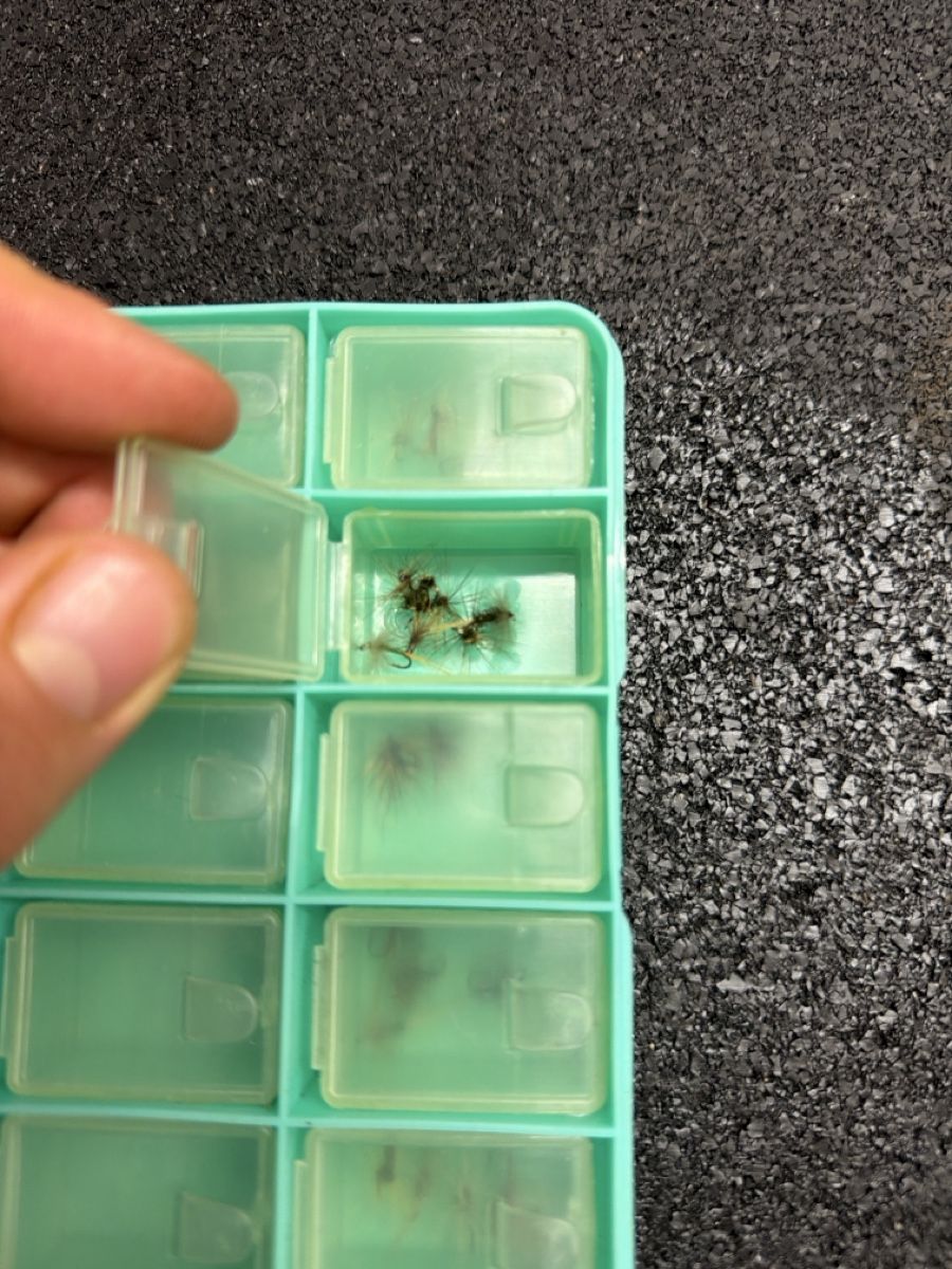 Köder: Fliegenköder in Kunststoffbox – Gebraucht aus Nesslau von deo_fqt7 3