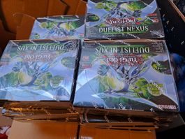 Duelist Nexus Display  15 STÜCK